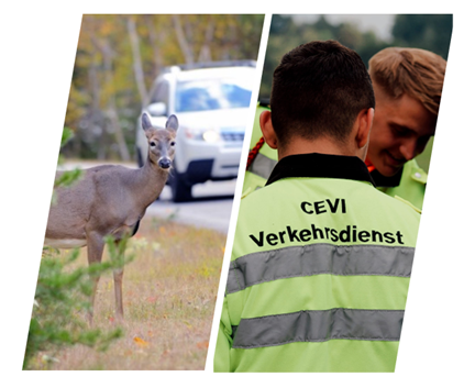 Cevi_Wildunfälle.png Cevi_Wildunfälle.png