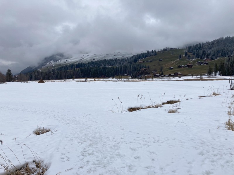 800__3187_Gstaad_18.jpg