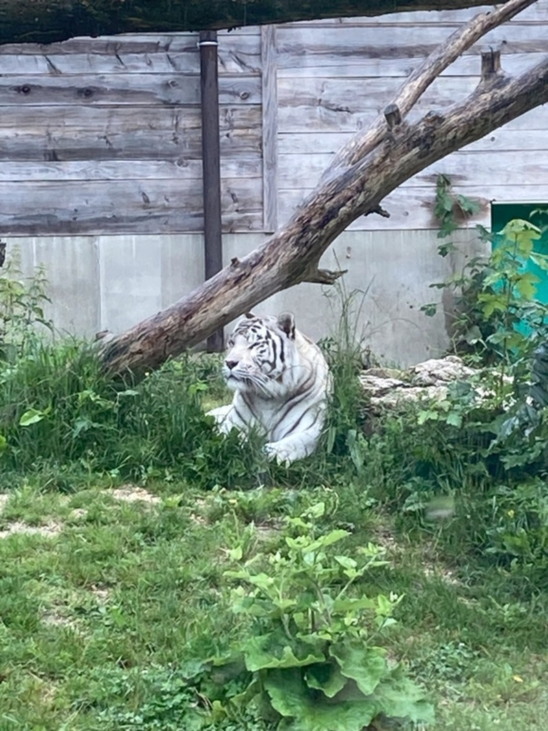 800__2922_Sikypark120.jpg