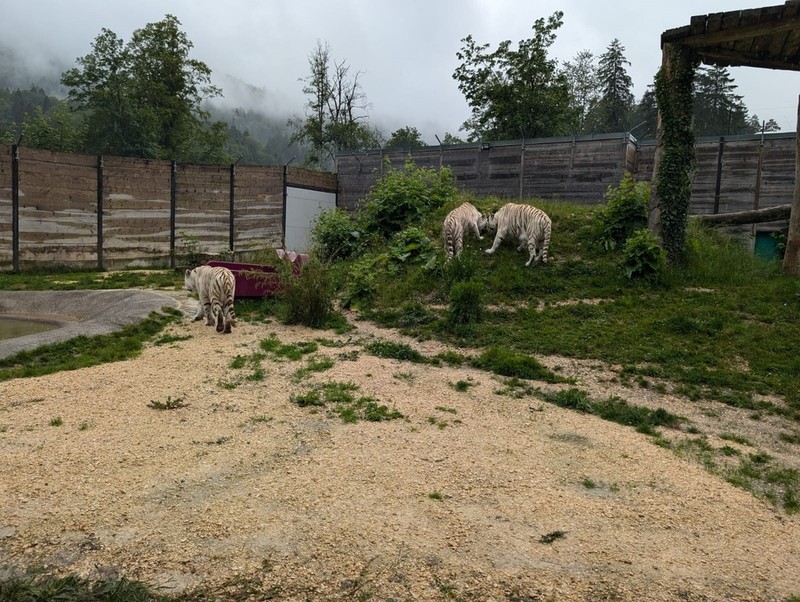 800__2923_Sikypark121.jpg
