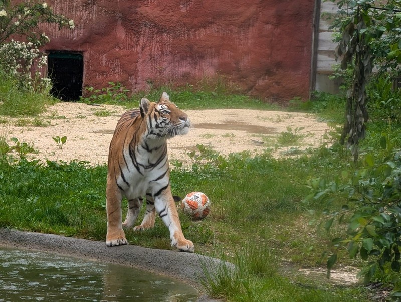 800__2924_Sikypark122.jpg