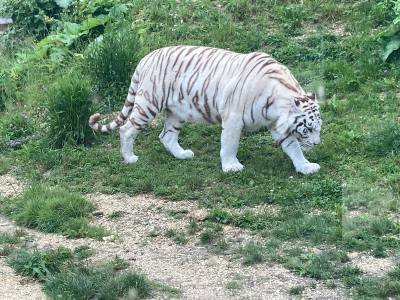 800__2926_Sikypark125.jpg