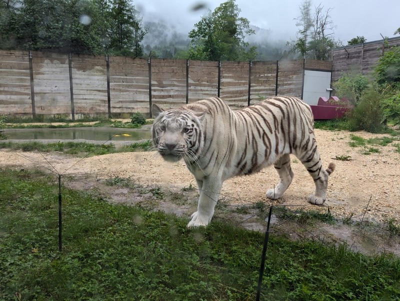 800__2927_Sikypark126.jpg