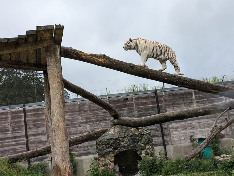 800__2928_Sikypark128.jpg