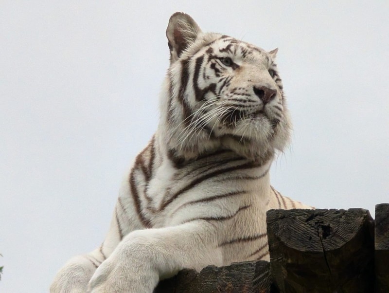 800__2930_Sikypark130.jpg