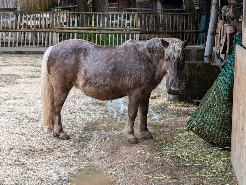 800__2931_Sikypark132.jpg