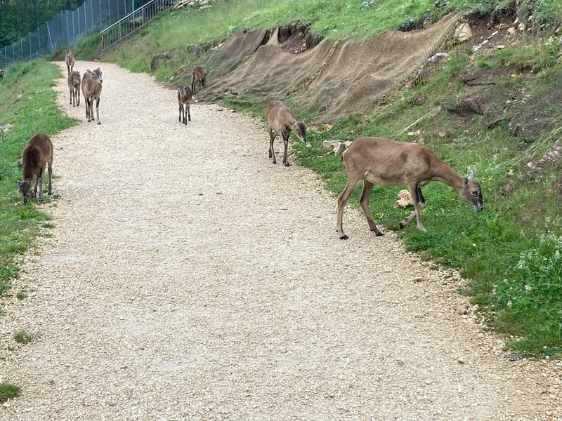 800__2932_Sikypark135.jpg