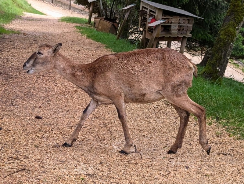 800__2936_Sikypark141.jpg