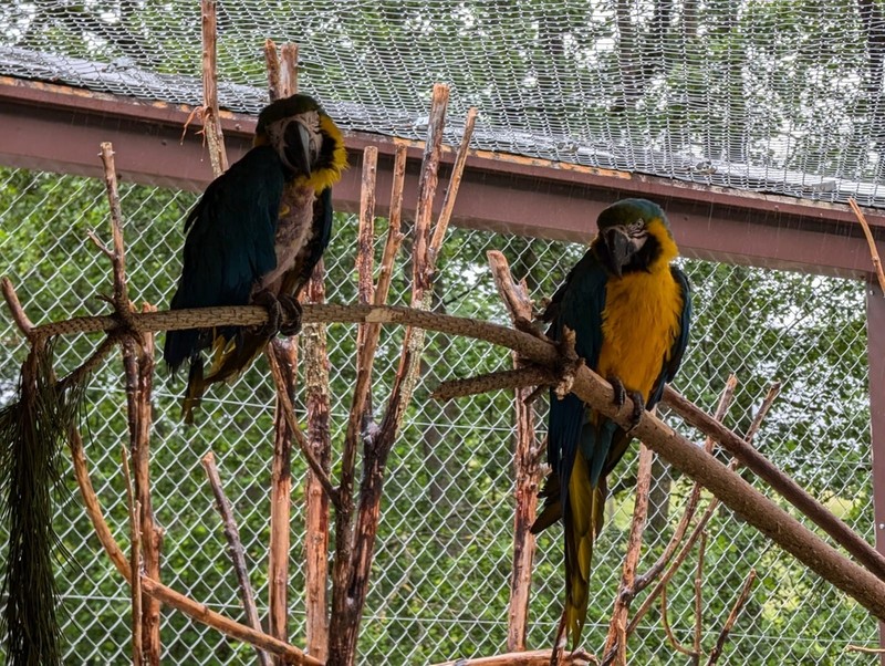 800__2973_Sikypark168.jpg