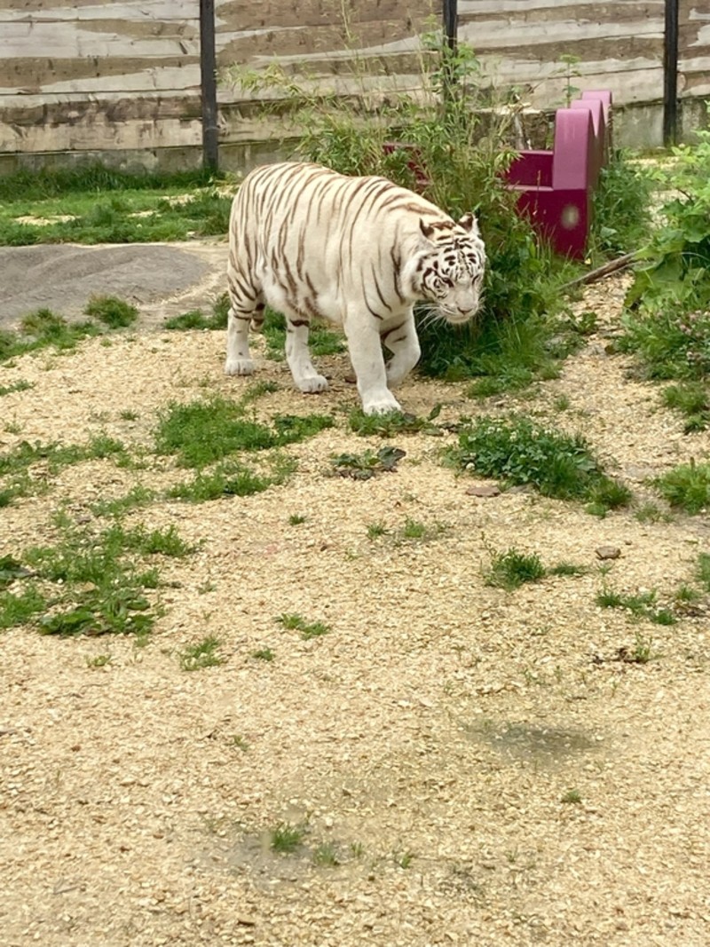 800__2986_Sikypark187.jpg